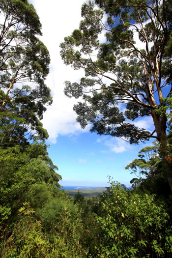 Hilltop Lookout, Walpole, Western Australia