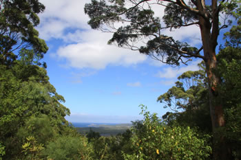 Hilltop Lookout