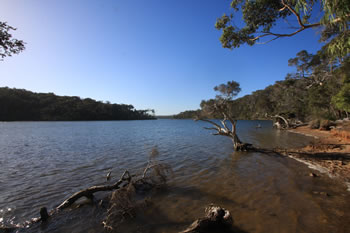 Nornalup Inlet