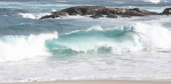 Surfing Denmark