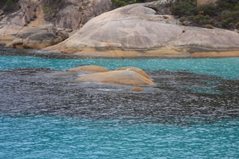 Waterfall Beach - Turquoise Waters