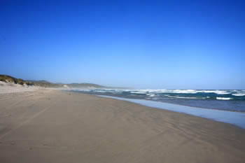 Mazoletti Beach toward Greens Pool, Mazzoletti Beach, Mazzoletti Beach Denmark