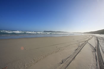 Mazzoletti Beach Tire Tracks Mazzoletti Beach, Mazzoletti Beach Denmark