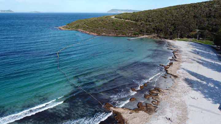 Middleton Beach Full Shark net 