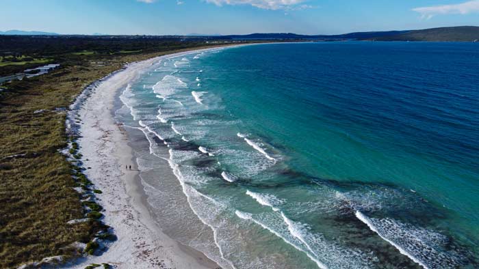 Whales at Middleton Beach in Middleton Bay