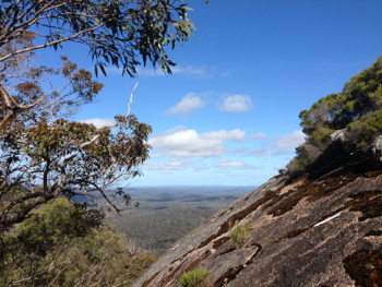 Half Way Up Mount Frankland