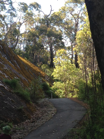 Walking up Mount Frankland