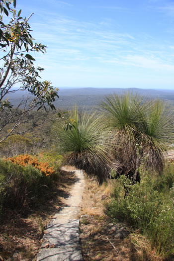 Walpole Wilderness Area, Western Australia