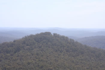 Airplane flying past Mount Frankland