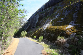 Mount Frankland Hiking Trail