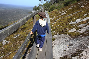 Mount Frankland, Rockwood Trail, Summit Loop