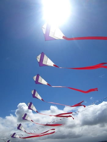 Ocean Beach Kite Fiesta