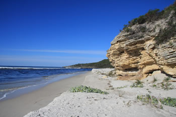 Denmark Beaches Map