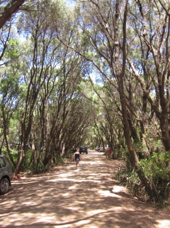 Parry Beach Campground