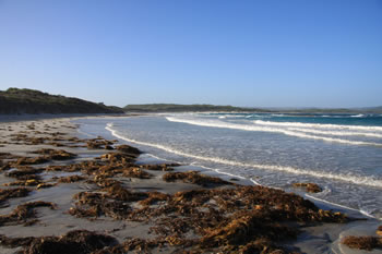 Parry Inlet William Bay National Park