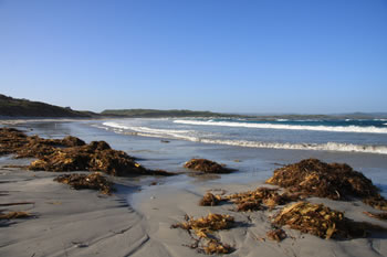 Parry Beach Campground