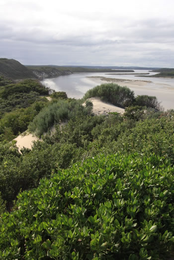 Peaceful Bay overlooking the Irwin Inlet