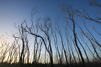 Quarrum Nature Reserve