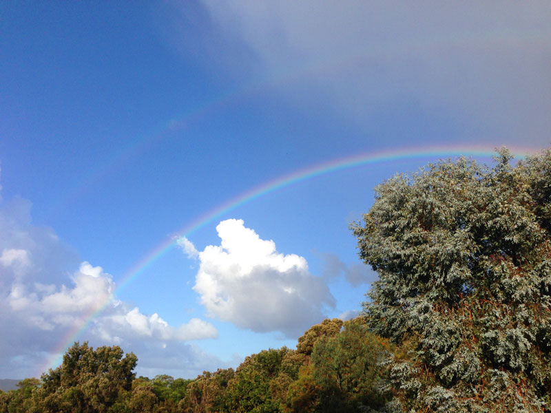 Current Weather in Albany Australia