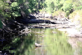 Walpole Sappers Bridge