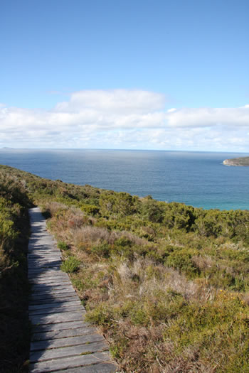 Bibbulmun Track through West Cape Howe National Park