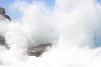 Shelley Beach Waves