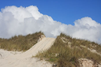 4 Wheel Driving near Torbay Inlet, Torbay