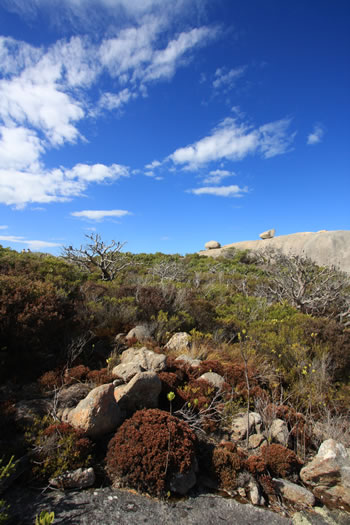 Waychinicup Inlet Camping Area