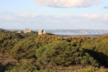 Tower Hill, William Bay NP