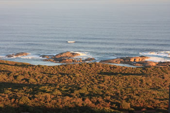 Elephant Rocks and Greens Pool in the Distance