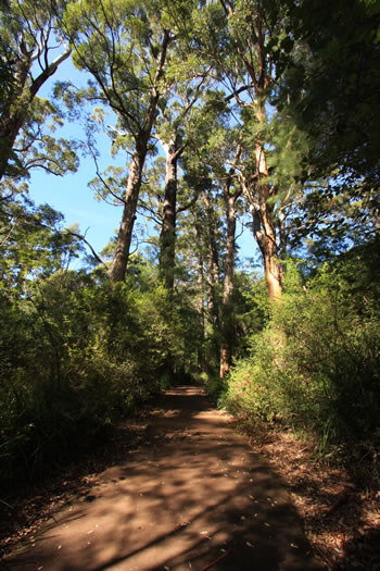 Ancient Empire Walk - A family day out