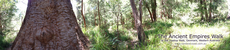 Ancient Empires Walk at the Valley of the Giants