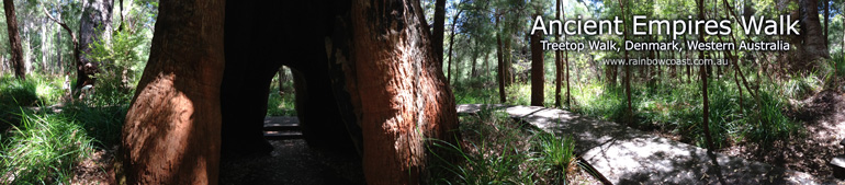 Ancient Empires Walk at the Valley of the Giants Treetop Walk