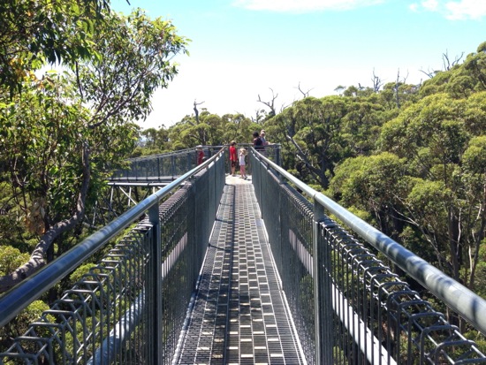 Valley of the Giants Treetop Walk Walpole