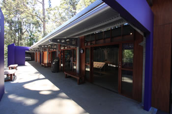 Discovery Centre - Valley of the Giants Treetop Walk