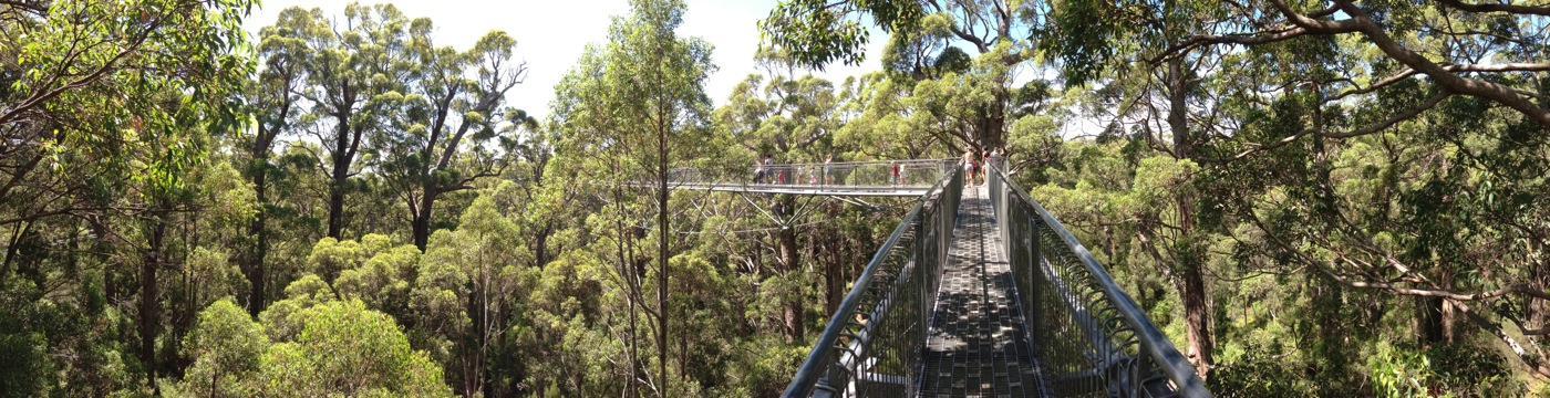 Birts of the South Coast of Western Australia