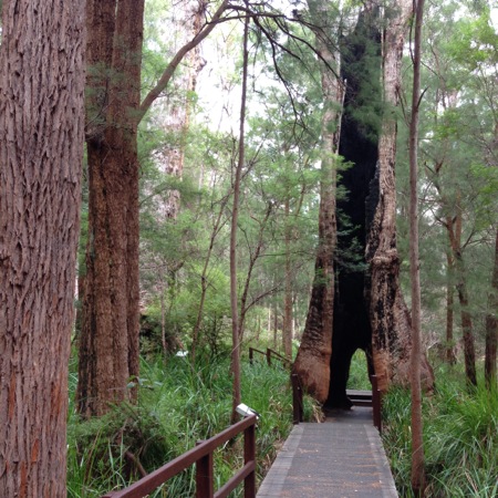 Ancient Empires Walk, Denmark, WA