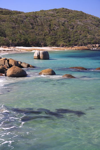 Waterfall Beach, William Bay - Looking East towards Lights Beach