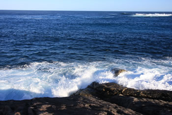 Wilson Head and Nullaki